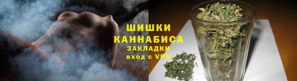дживик Верхний Тагил