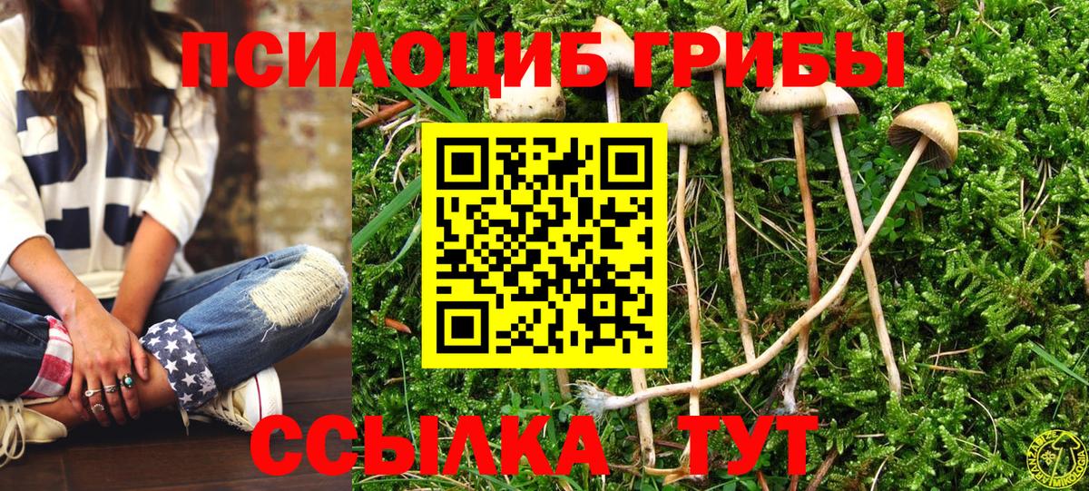 Псилоцибиновые грибы MAGIC MUSHROOMS Сочи